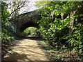 Bridge carrying Mount View Road over former railway route