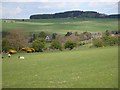 NY9984 : Distant view of Kirkwhelpington village by Joan Sykes