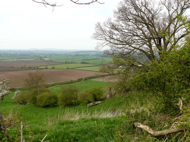 View Across Morton Underhill, near Inkberrow