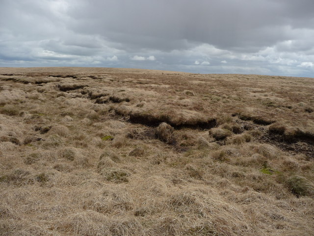 Peat haggs