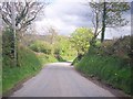 Deserted roadway towards Rhydwen