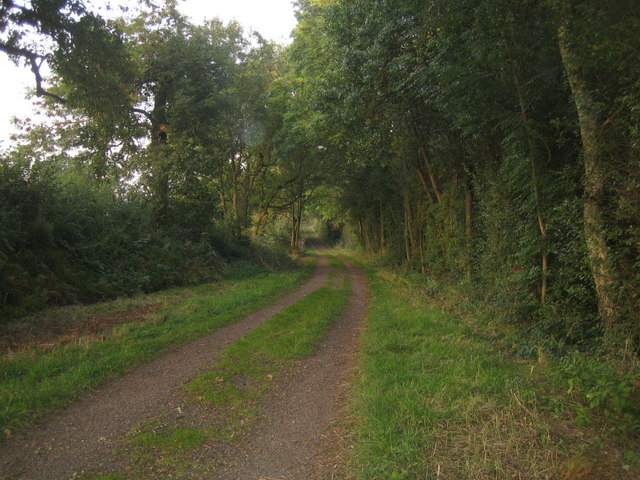 Three Points Lane, Runt's Wood