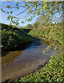 Weighton Beck