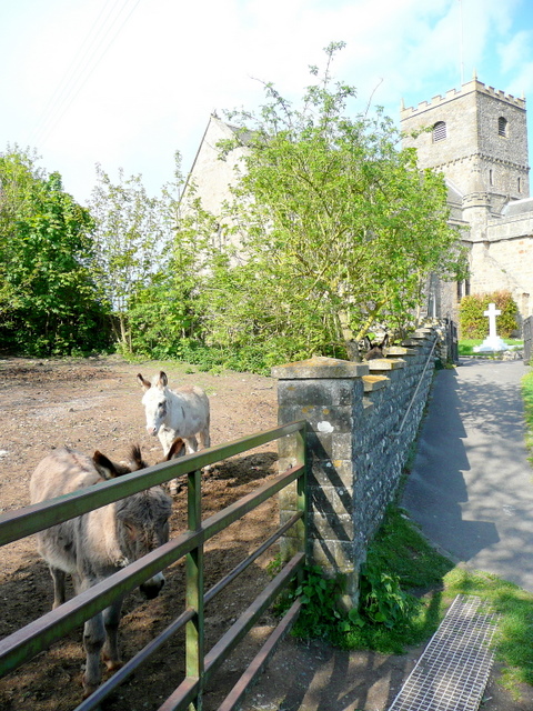 Donkey sanctuary by St. Andrew's church