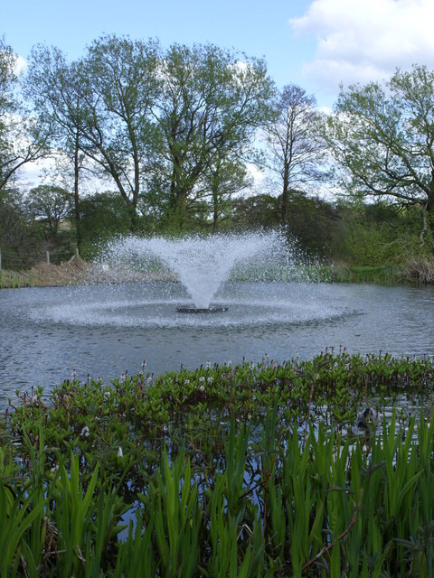 Fountain at the Services