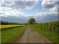 Bridleway from Exton Park