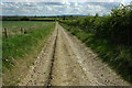 Track to the south of Cowsden