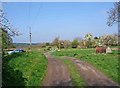 Edge of Pound Green Common