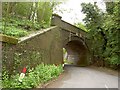 Arch bridge to carry a disused railway