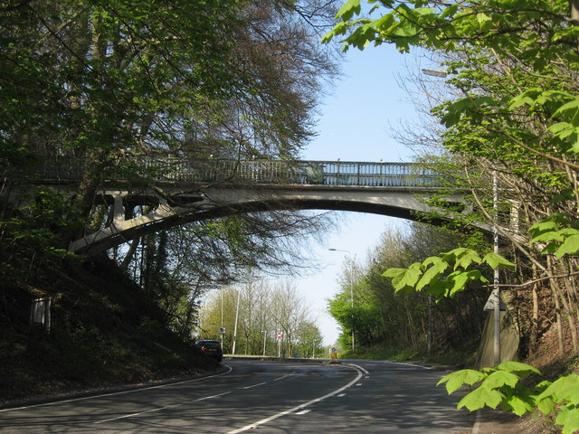 Bridge carrying public footpath over A217 (Reigate Hill)