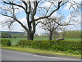 SK1782 : View across Stretfield Road (B6049) by Alan Heardman