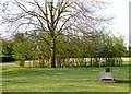 School garden, Long Itchington