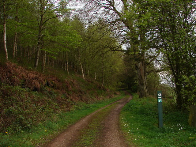 Brownmoor Woods Footpath