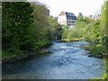 River Kelvin