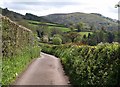 Approaching Little Quantock