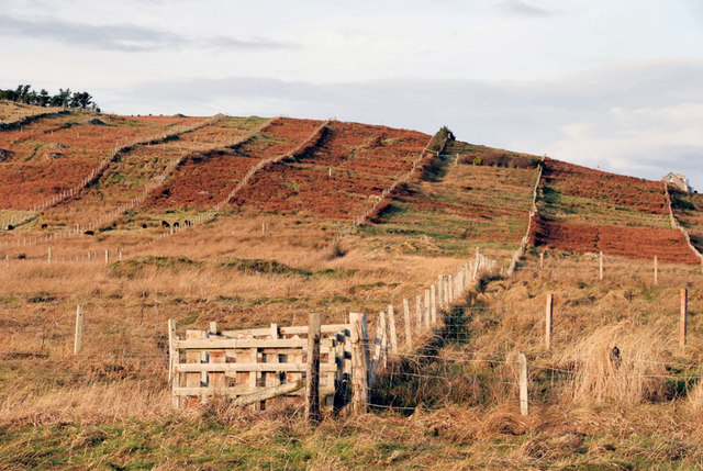 scotland-crofts-for-sale-scotland-croft