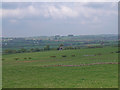 Farmland , Lugton