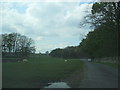 Access land near Newbiggin-on-Lune