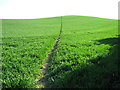 Footpath over Furze Hill