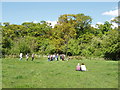 Little Elms Meadow, Perivale Wood