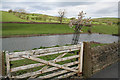 Millpond, Lothersdale