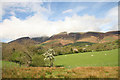 Pasture near Keswick