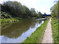 Ridgacre Canal