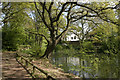 Pond on Little Common, Stanmore