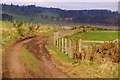 Track from North Whitehills, Forfar to Hatton of Carse