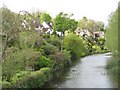 Back gardens in Spetisbury