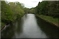 View upstream from Chainbridge