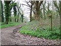 Bridleway junction near Whitsbury