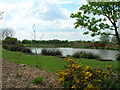 Fishing Pond near Ulrome