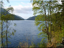 NY3018 : Thirlmere by Michael Graham