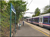 SJ8896 : Gorton Station by Gerald England