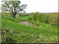 Small pond to the N of West Street