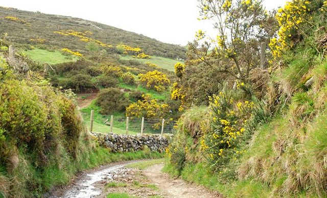 The Windy Gap Pad near Dromara (3) © Albert Bridge :: Geograph Ireland