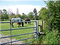 Gate and stile, Hisomley