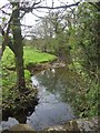SO5486 : Tugford Brook - downstream at Broncroft by John M