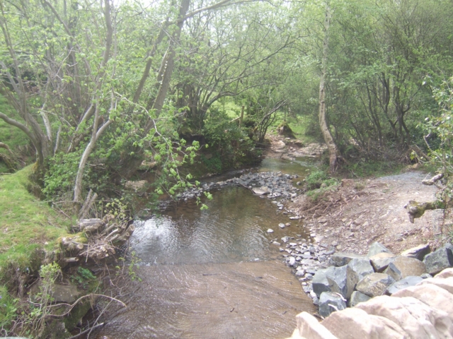 Tugford Brook - downstream of Abdon