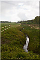 New ditching and fencing west of Bere Farm Lane