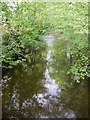 River Brock from Matshead footbridge