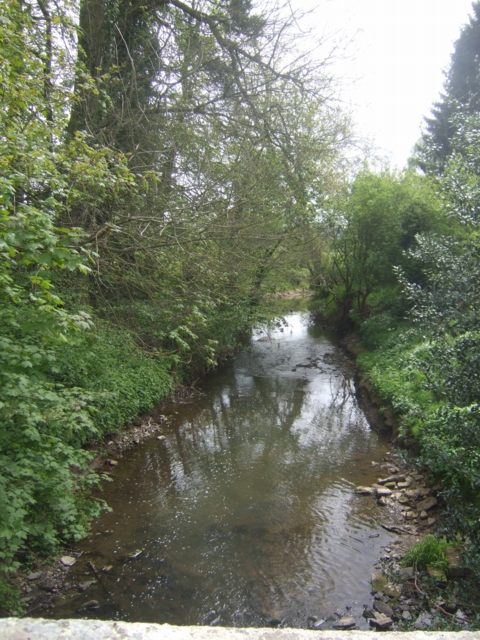 River Corve - downstream of Beambridge
