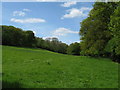 Green pastures at Newbuildings Plantation