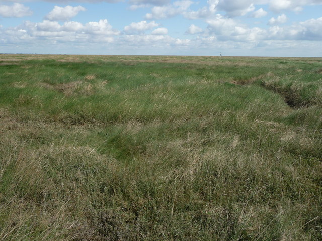 Salt-marsh on the edge of The Wash