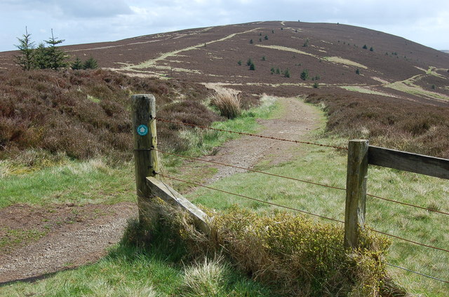 Track leaves the forest at Hare Law