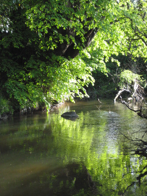 Leigh Brook © Philip Halling :: Geograph Britain and Ireland