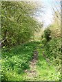 Bridleway towards The Lawn