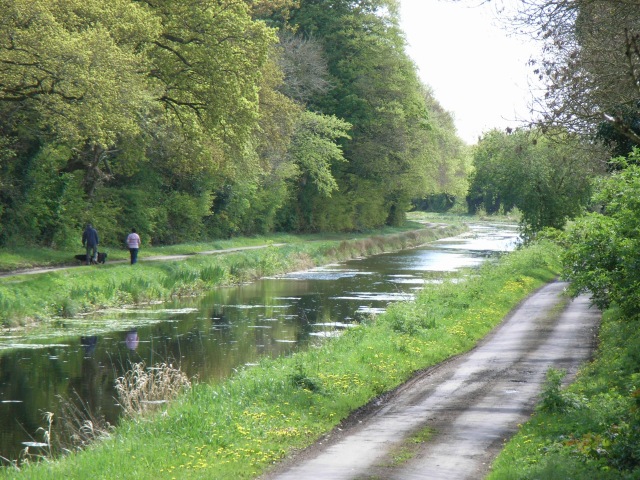 Royal Canal east of D'Arcy's Bridge, Co. Westmeath