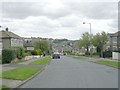 Looking down High House Road